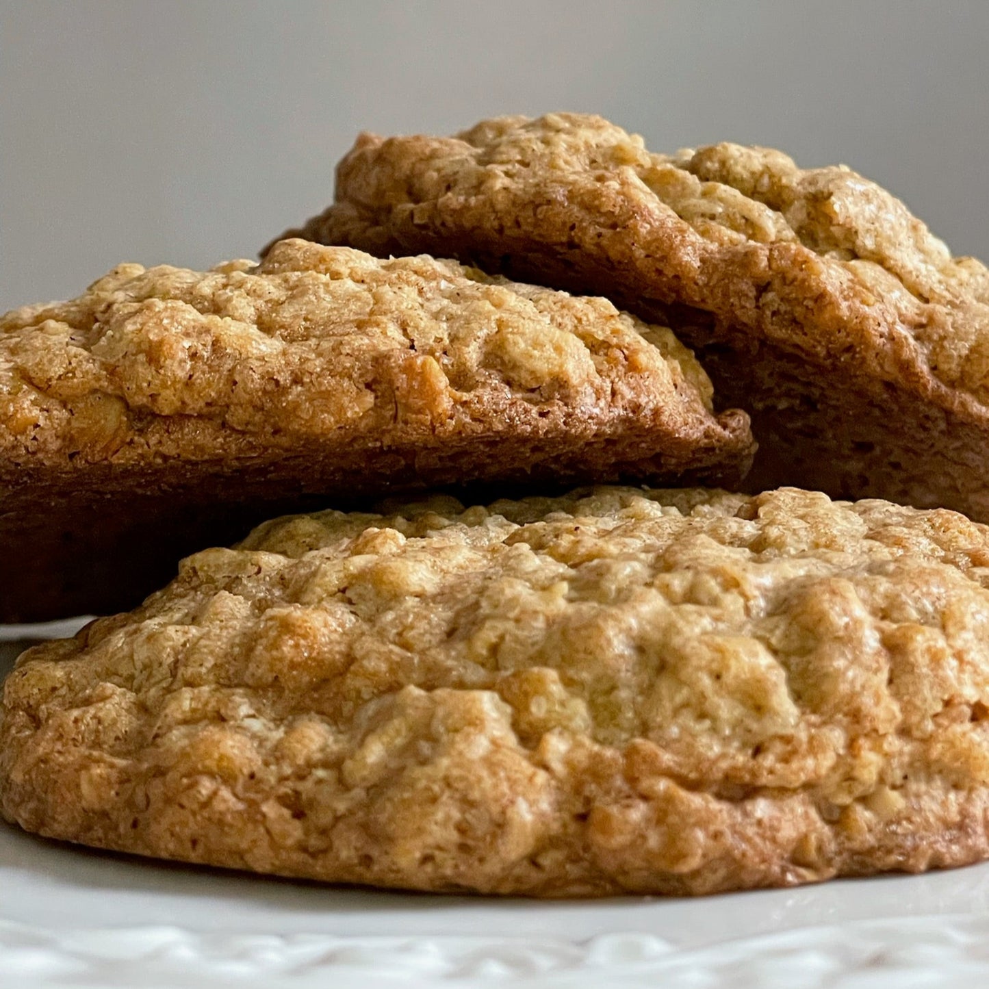 oatmeal cookies (6)